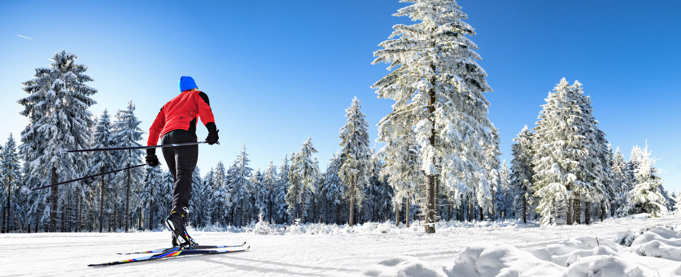 Cross-country Skiing